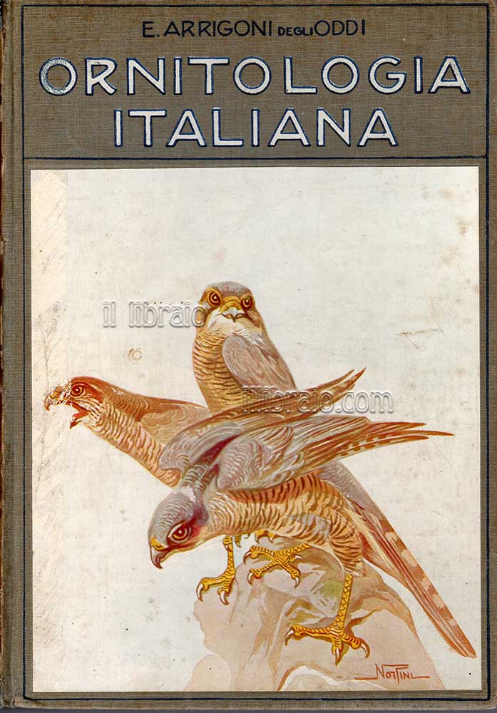 Ornitologia italiana