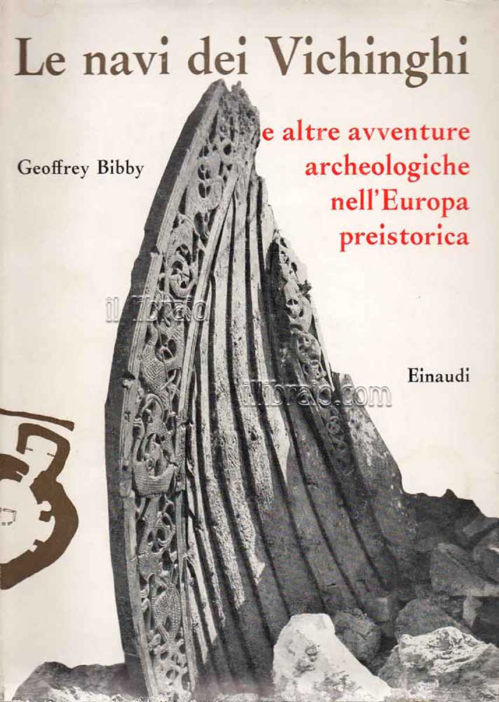 Le navi dei vichinghi