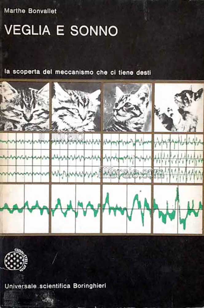 Veglia e sonno. La scoperta del meccanismo che ci tiene desti