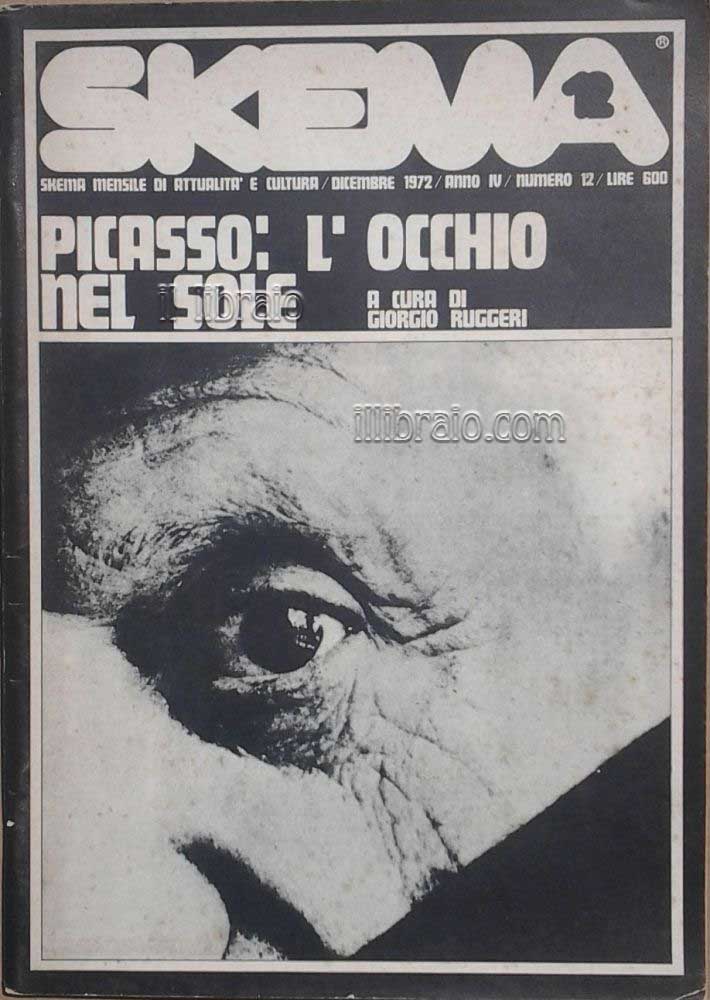 Picasso: l'occhio nel sole - Skema (numero 12)